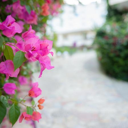 Bougainville Bay Apartments Sarandë Exterior foto